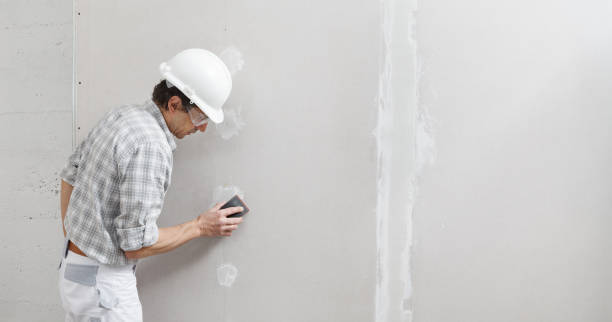 Best Drywall Sanding and Smoothing  in Parole, MD